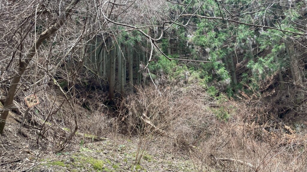 愛媛 ツーリング